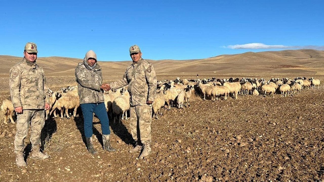 Erzincan’da kaybolan 300 koyunu Jandarmanın İHA’sı buldu