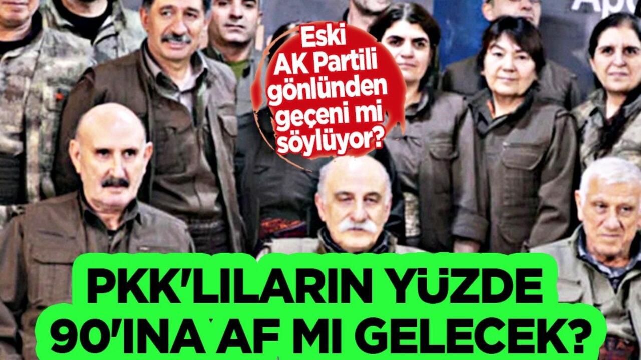 Eski AK Partili, gönlünden geçeni mi söylüyor? PKK'lıların yüzde 90'ına af mı gelecek algısı
