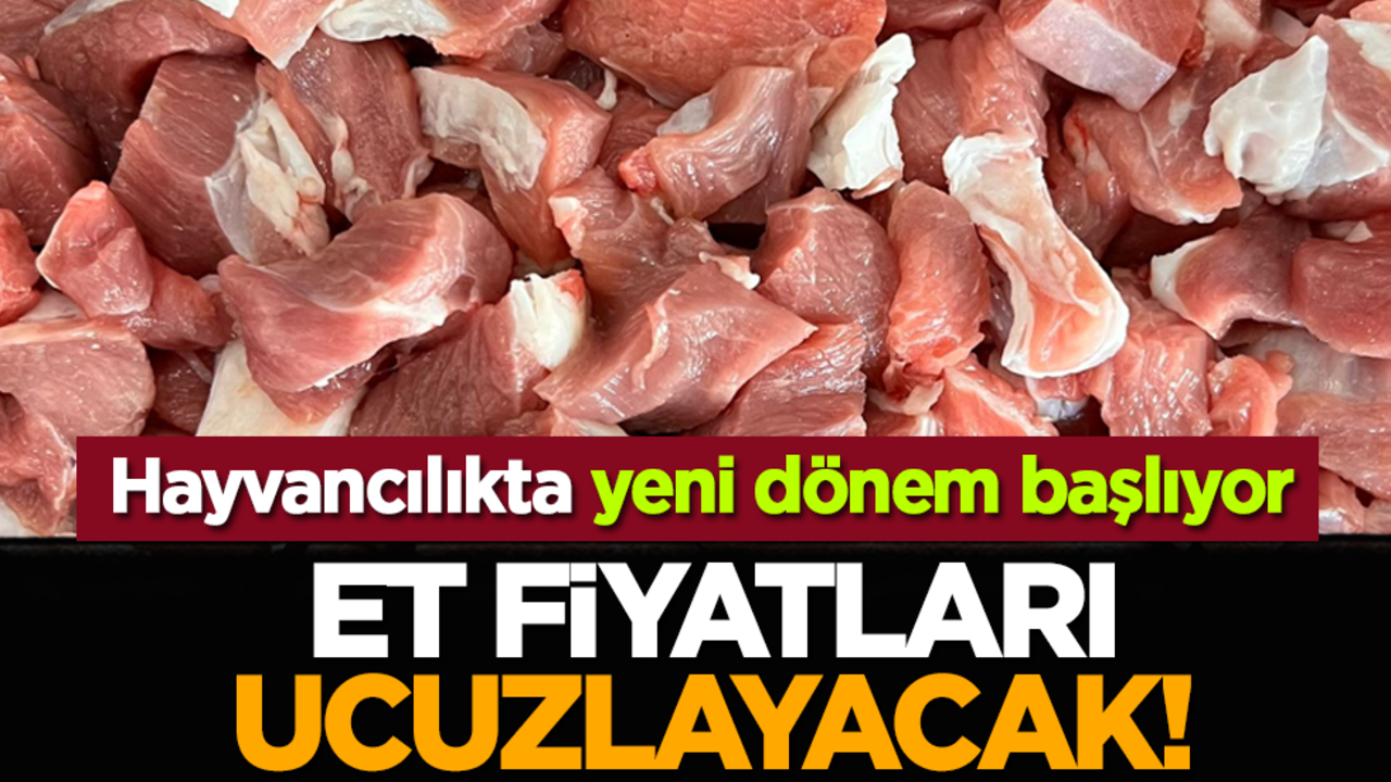 Et fiyatları ucuzlayacak! Hayvancılıkta yeni dönem başlıyor