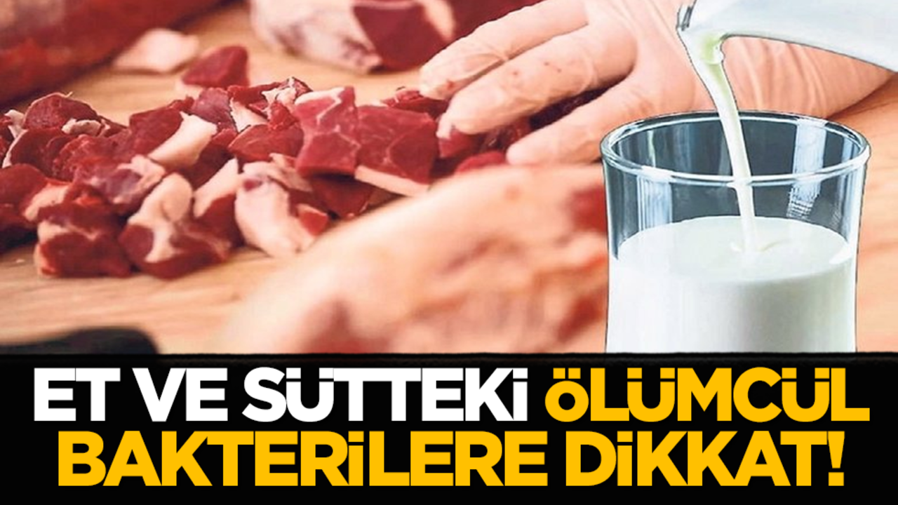 ET ve sütteki ölümcül bakterilere dikkat!