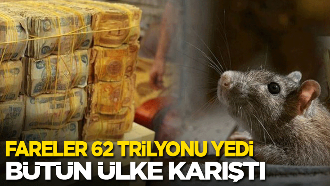 'Fareler 62 trilyonu yedi' iddiası Irak’ı karıştırdı!