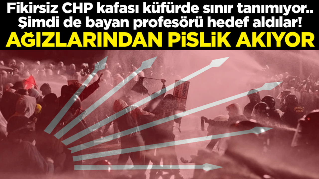 Fikirsiz CHP kafası küfürde sınır tanımıyor.. Şimdi de bayan profesörü hedef aldılar! Ağızlarından pislik akıyor