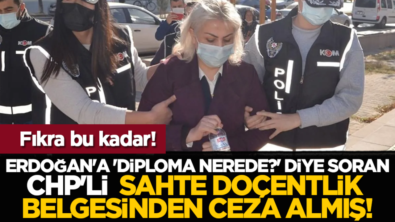 Fıkra bu kadar! Erdoğan'a 'Diploma nerede?' diye soran CHP'li sahte doçentlik belgesinden ceza almış!