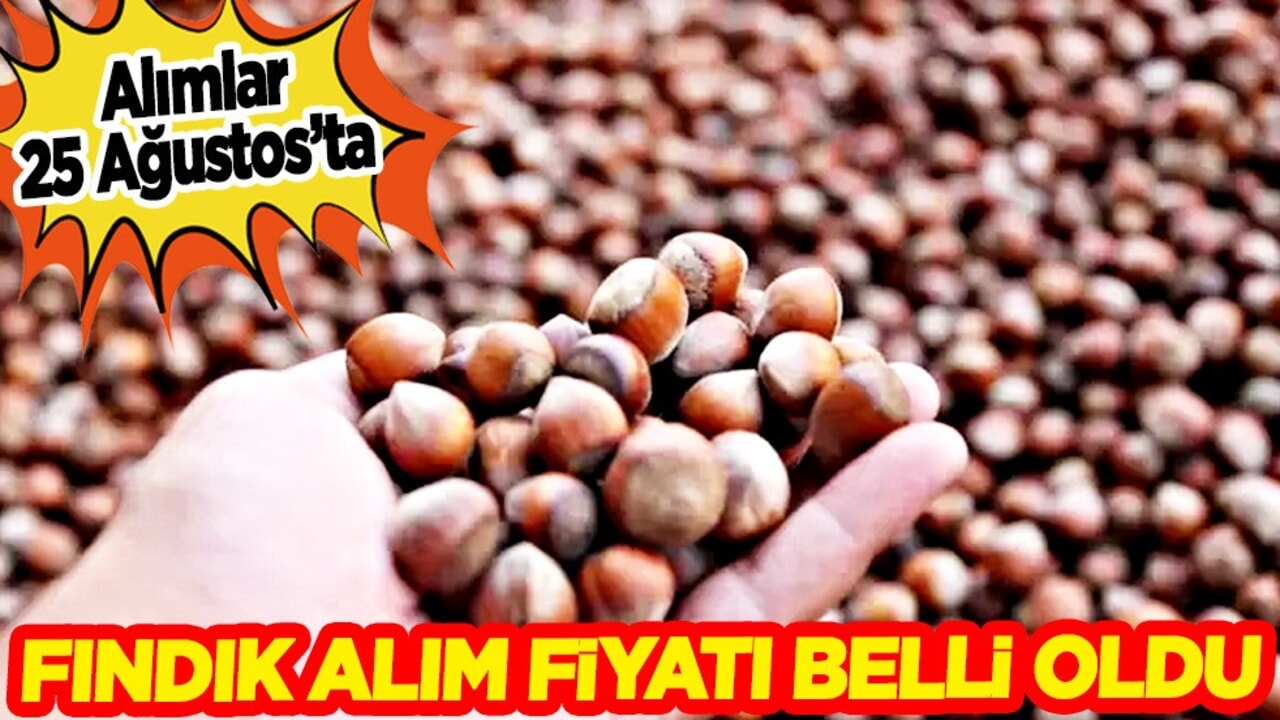 Fındık alım fiyatı belli oldu! Fındık fiyatları ne kadar oldu? 2025 fındık alım fiyatları durumu
