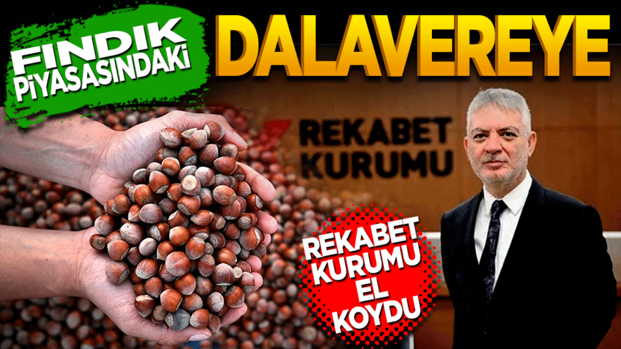 Fındık piyasasındaki dalavereye rekabet kurumu el koydu