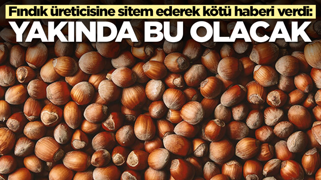 Fındık üreticisine sitem ederek Türkiye'ye kötü haberi verdi: Yakında bu olacak