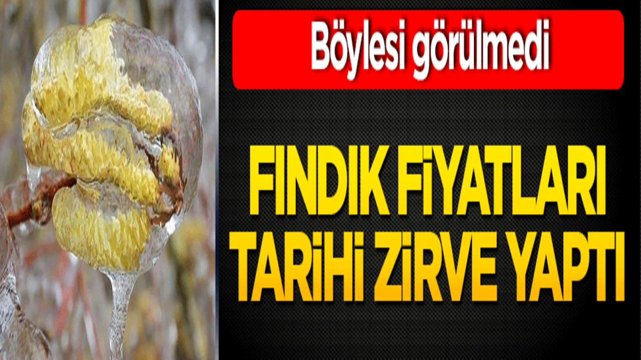 Fındık üreticisini vuran don sonrası fiyatlar zirve yaptı! Böylesi görülmedi
