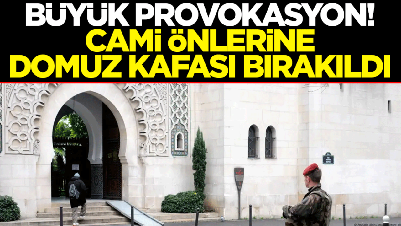 Fransa'da büyük provokasyon! Cami önlerine domuz kafası bırakıldı