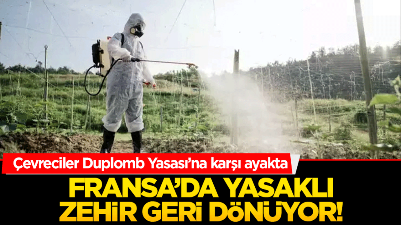 Fransa’da yasaklı zehir geri dönüyor! Çevreciler Duplomb Yasası’na karşı ayakta