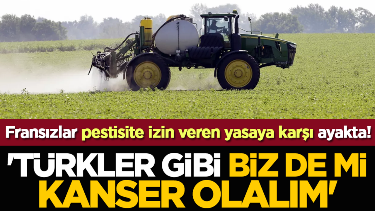 Fransızlar pestisite izin veren yasaya karşı ayakta! 'Türkler gibi biz de mi kanser olalım'