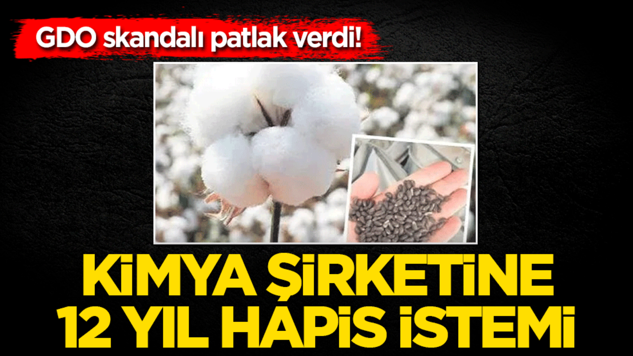 GDO skandalı patlak verdi! Kimya şirketine 12 yıl hapis istemi