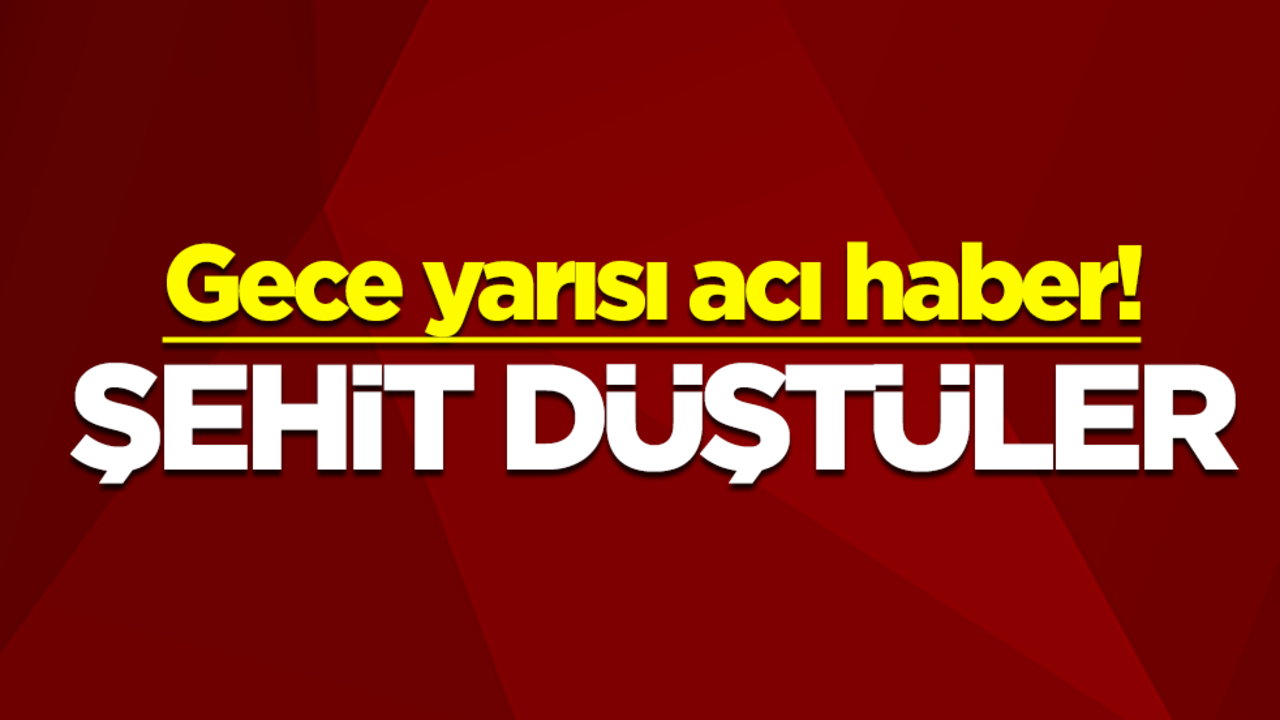 Gece yarısı acı haber! Şehit düştüler