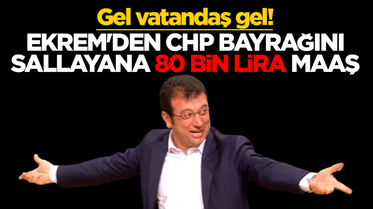 Gel vatandaş gel! Ekrem'den CHP bayrağını sallayana 80 bin lira maaş