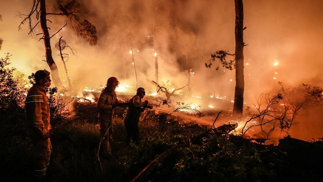 Gelibolu’daki orman yangını büyük ölçüde durduruldu