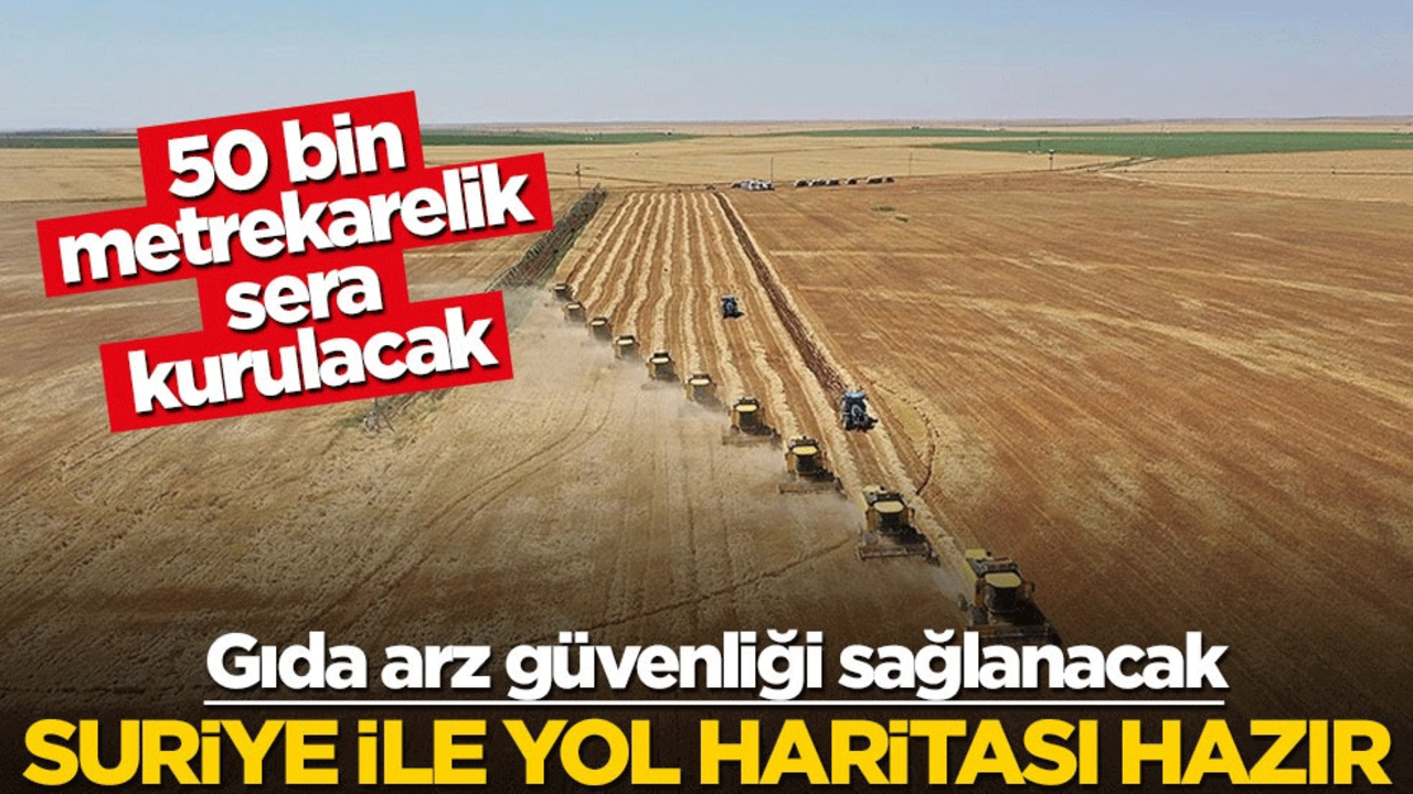 Gıda arz güvenliği sağlanacak! Suriye ile yol haritası hazır