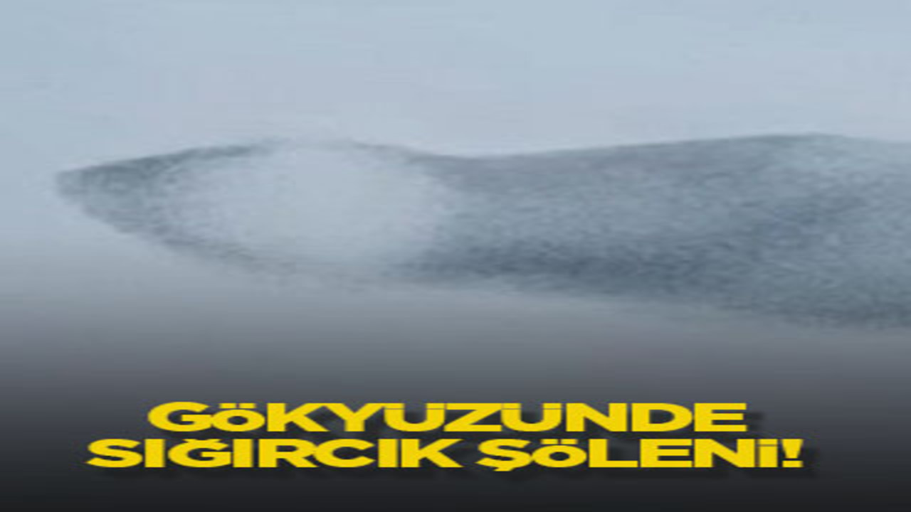 Gökyüzünde sığırcık şöleni!