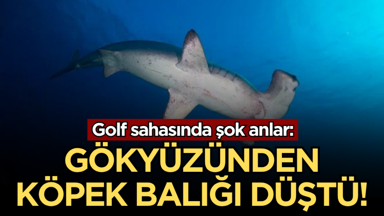 Golf sahasında şok anlar: Gökyüzünden köpek balığı düştü!