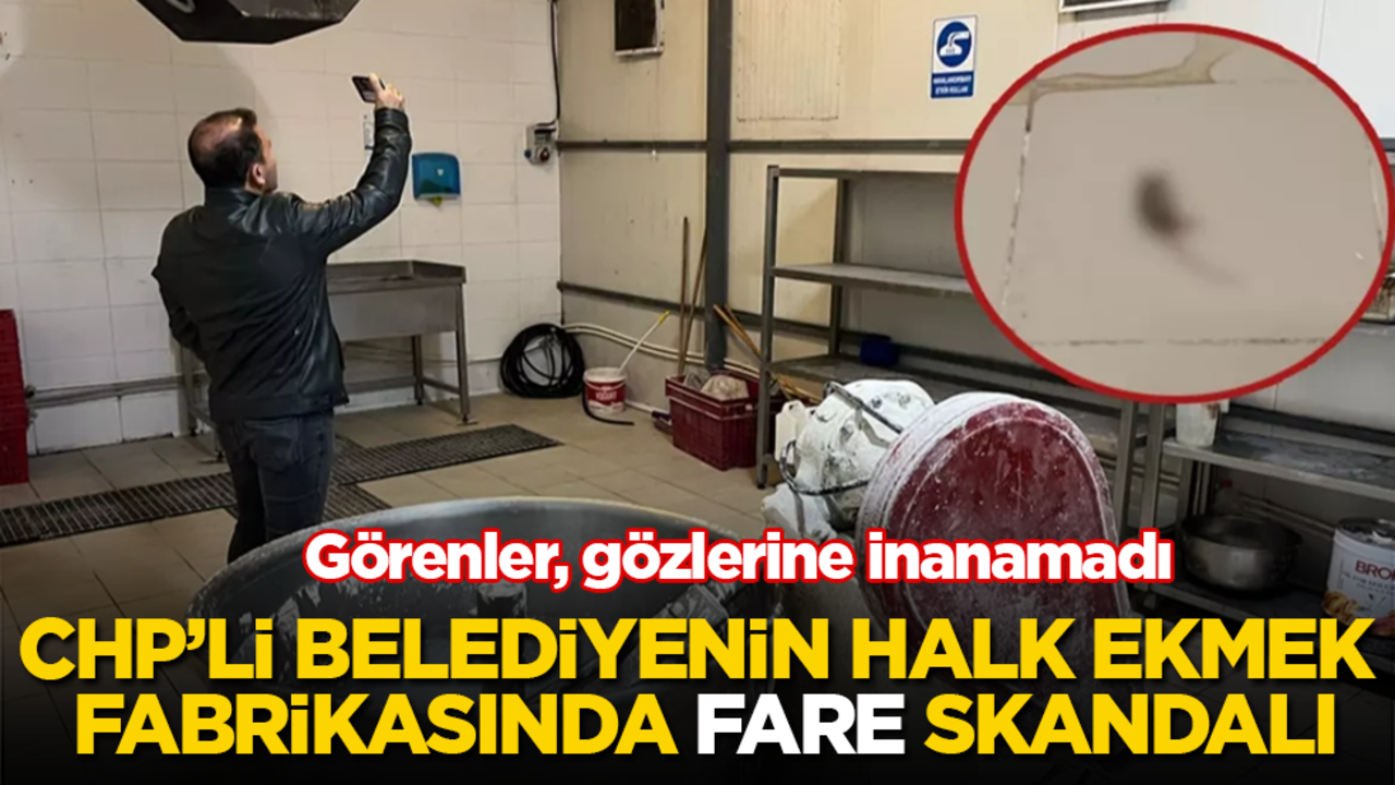 Görenler, gözlerine inanamadı! CHP’li belediyenin halk ekmek fabrikasında fare skandalı