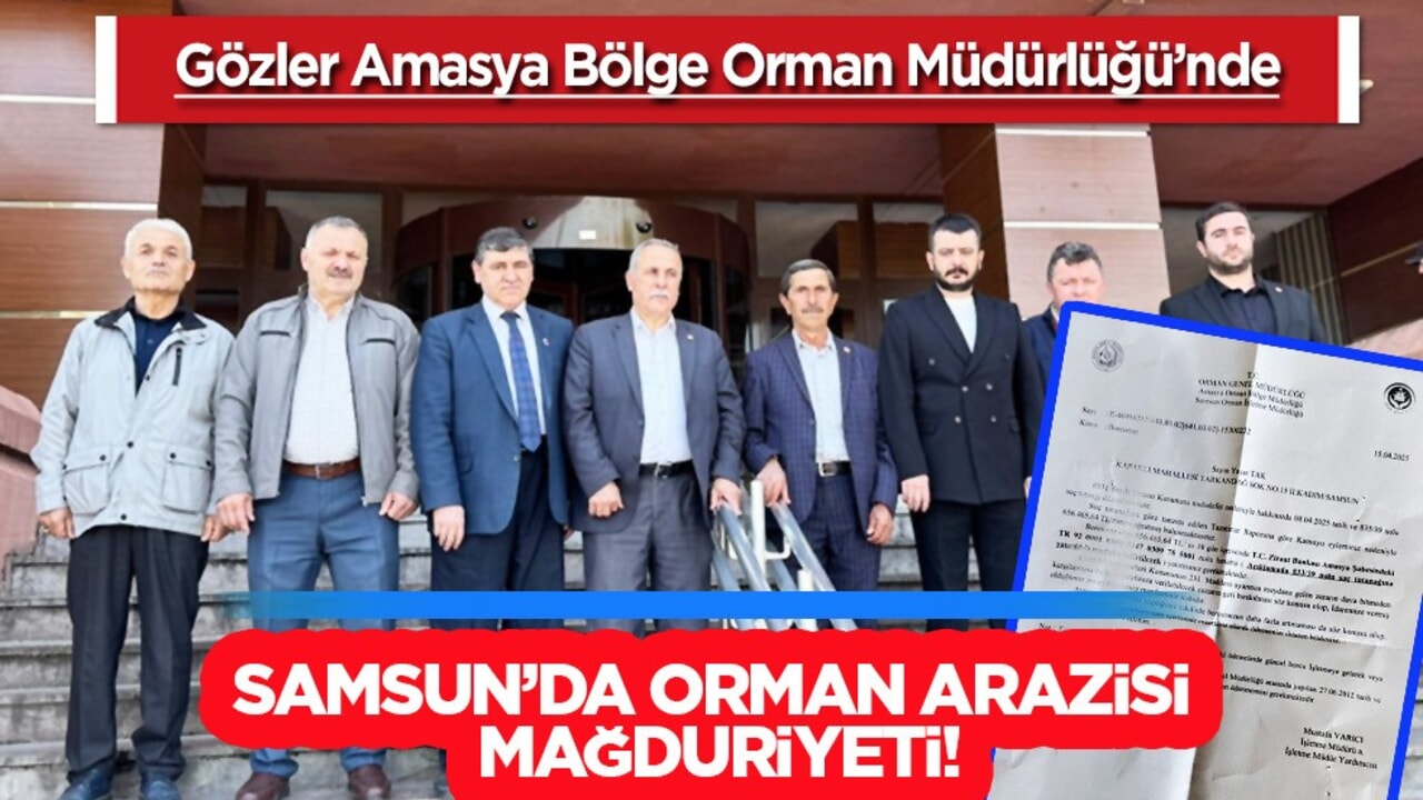 Gözler Amasya Bölge Orman Müdürlüğü’nde: Samsun'da orman arazi mağduriyeti