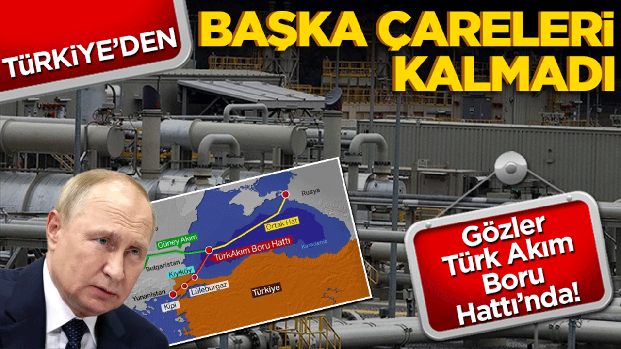 Gözler Türk Akım Boru Hattı’nda! Türkiye’den başka çareleri kalmadı