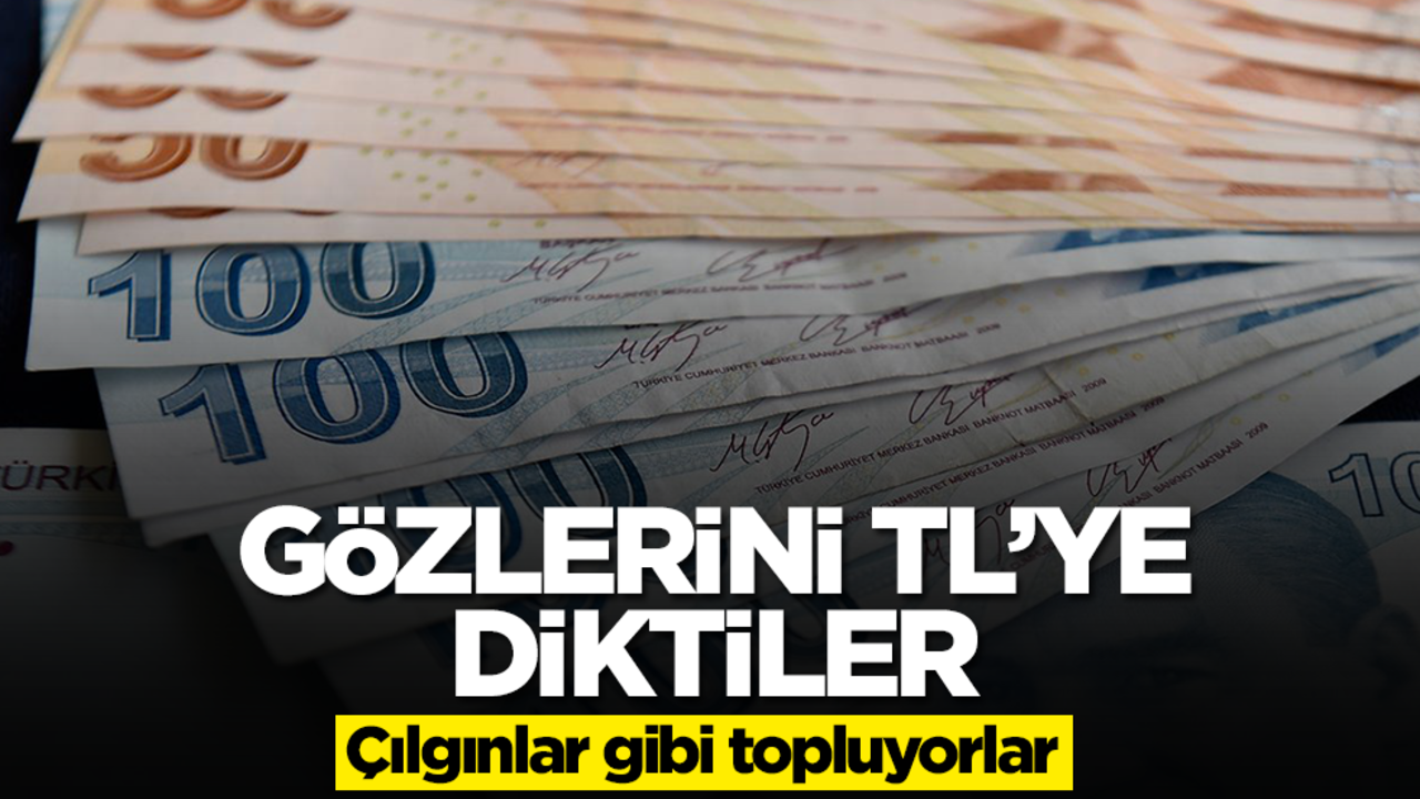 Gözlerini TL'ye diktiler! Çılgınlar gibi topluyorlar
