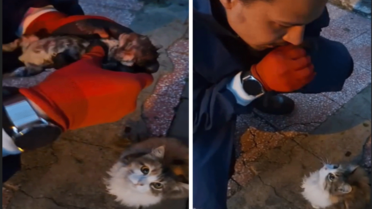 Gözyaşları sel oldu: Annesinin ağzında getirip yardım istediği kedi yavrusu itfaiyenin müdahalesine rağmen kurtarılamadı