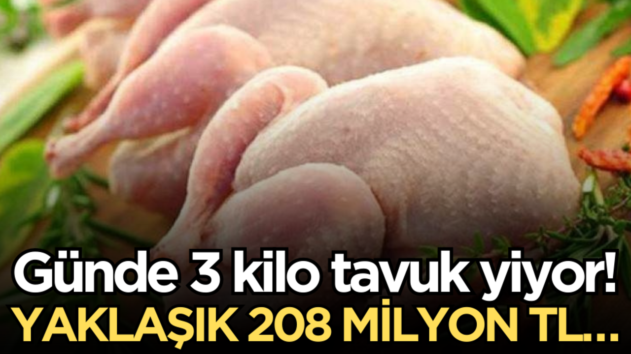 Günde 3 kilo tavuk yiyor: Yaklaşık 208 milyon TL…