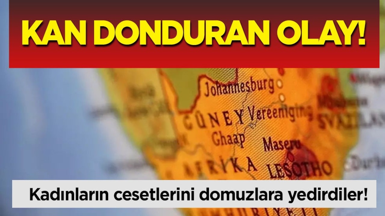 Güney Afrika'da kan donduran olay! Dünyayı şaşırttı: Çiftliğe izinsiz giren kadınların cesetlerini domuzlara yedirdiler