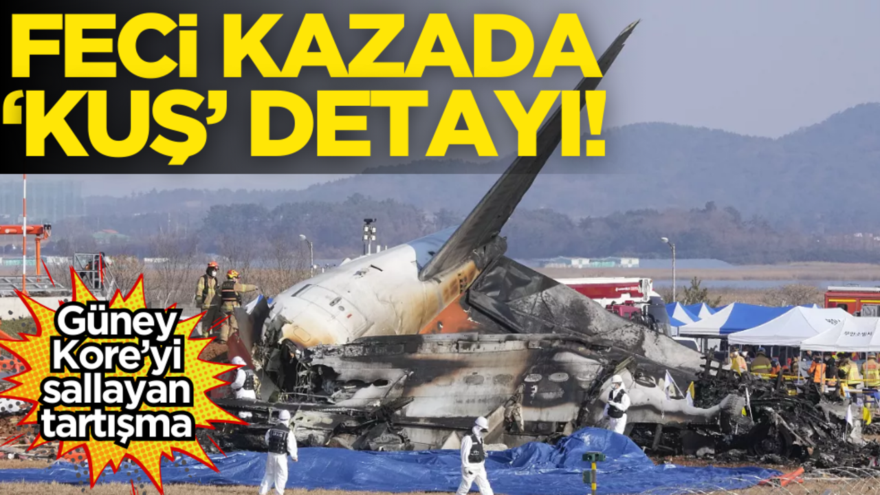 Güney Kore’deki uçak kazasında ‘kuş’ detayı!