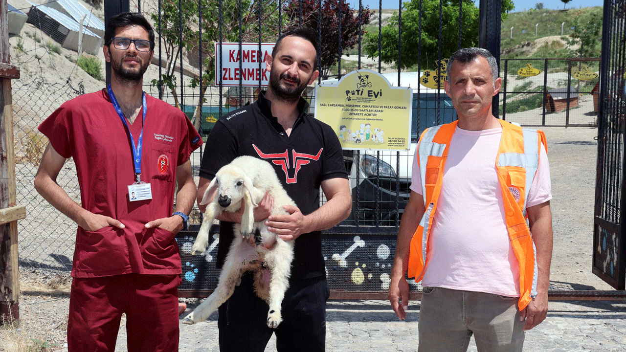 Günler sonra kavuştuğu koyun ve kuzularına sarılarak hasret giderdi