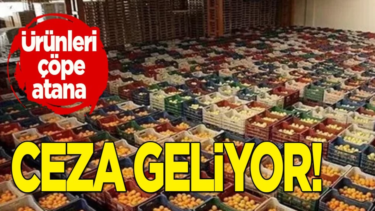 Hal Yasası'nda yeni gelişme: Çöpe dökenlere ceza geliyor! Marketlerde yeni dönem!