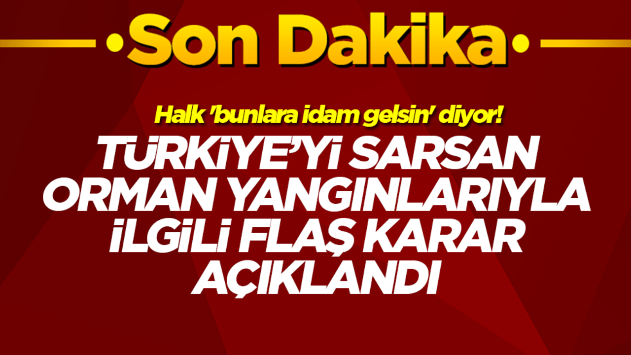 Halk 'bunlara idam gelsin' diyor! Türkiye'yi sarsan orman yangınlarıyla ilgili flaş karar açıklandı