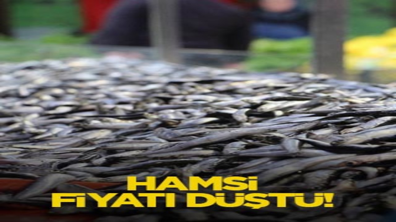 Hamsi fiyatı düştü!