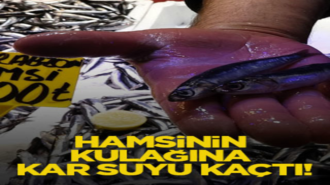 Hamsinin kulağına kar suyu kaçtı!