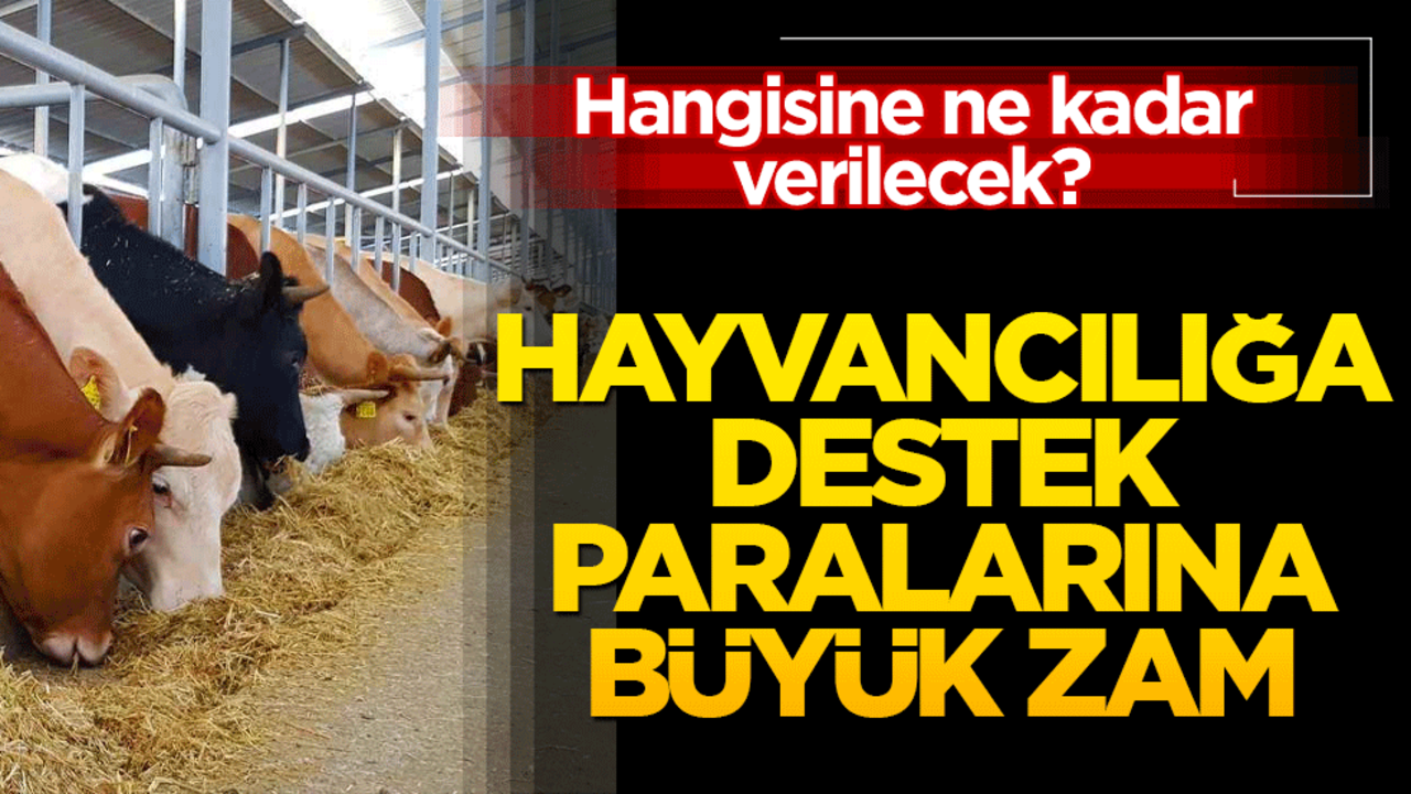 Hangisine ne kadar verilecek? Hayvancılığa destek paralarına büyük zam