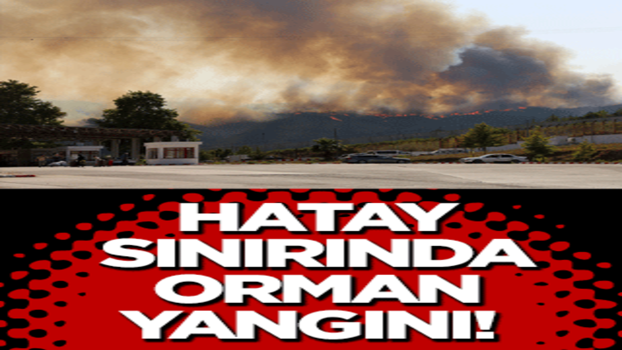 Hatay sınırında orman yangını! Ekipler alarmda