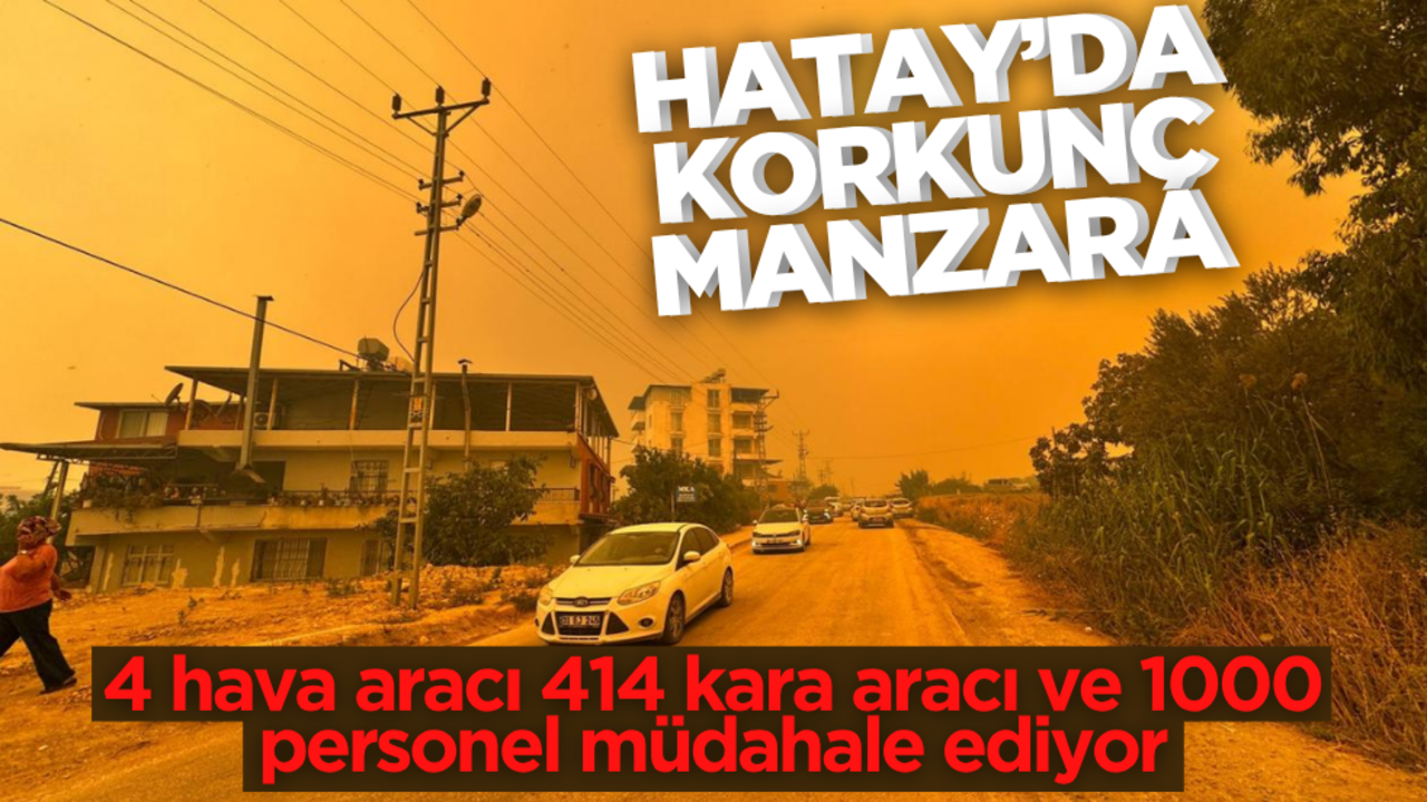 Hatay’daki orman yangınına müdahale devam ediyor! Vali Masatlı son durumu açıkladı