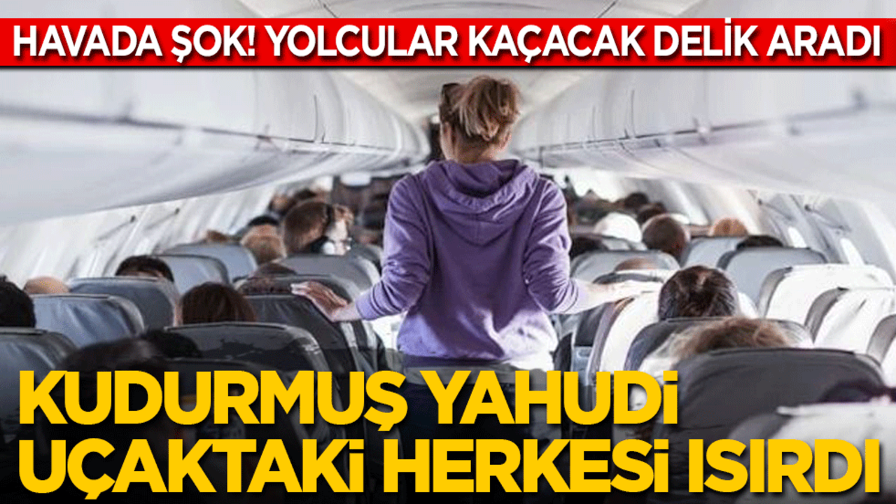 Havada şok: Kudurmuş yahudi uçaktaki herkesi ısırdı