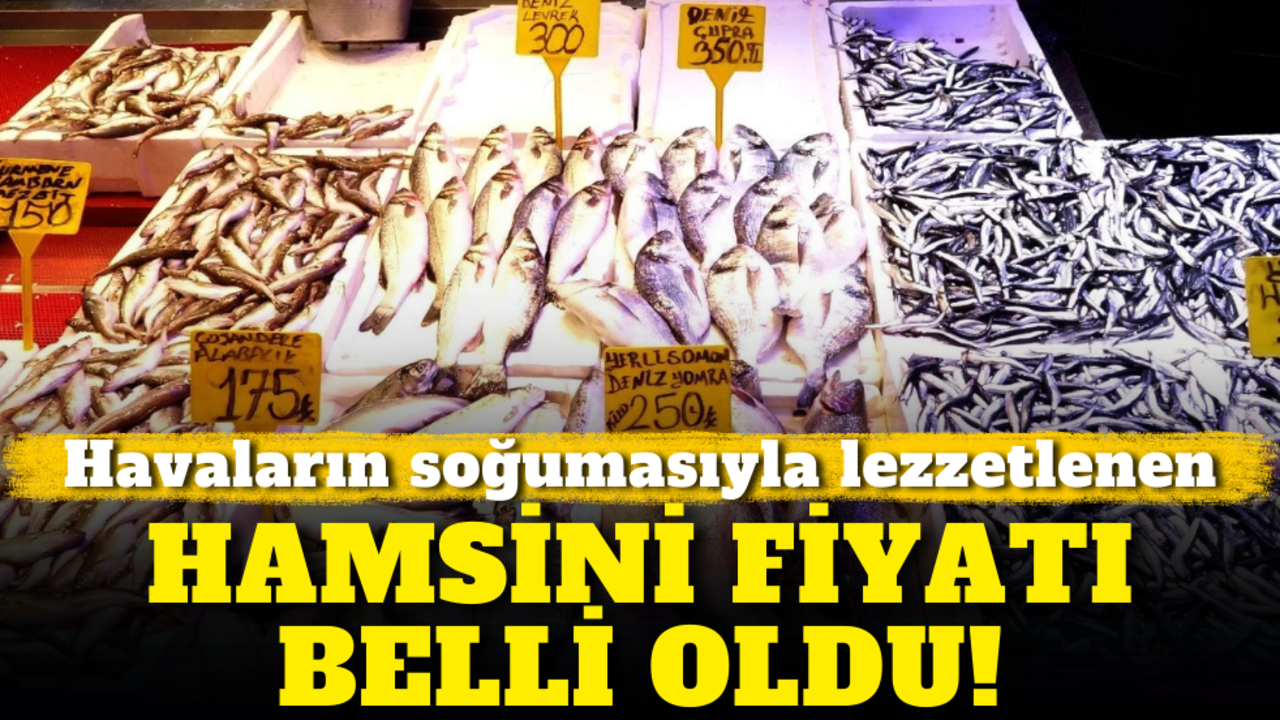 Havaların soğumasıyla lezzeti artan hamsinin fiyatı belli oldu!