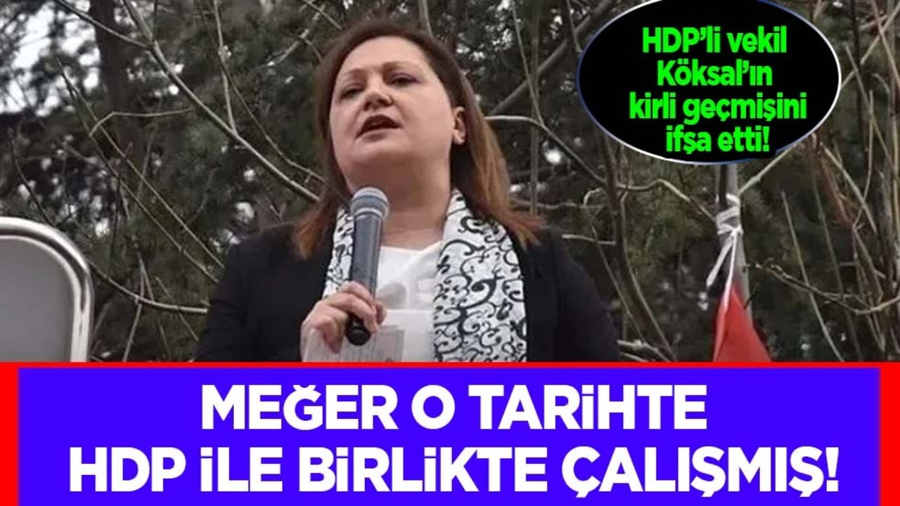 HDP’li vekil Köksal’ın kirli geçmişini ifşa etti: 2019’da HDP ile birlikte çalışmış!