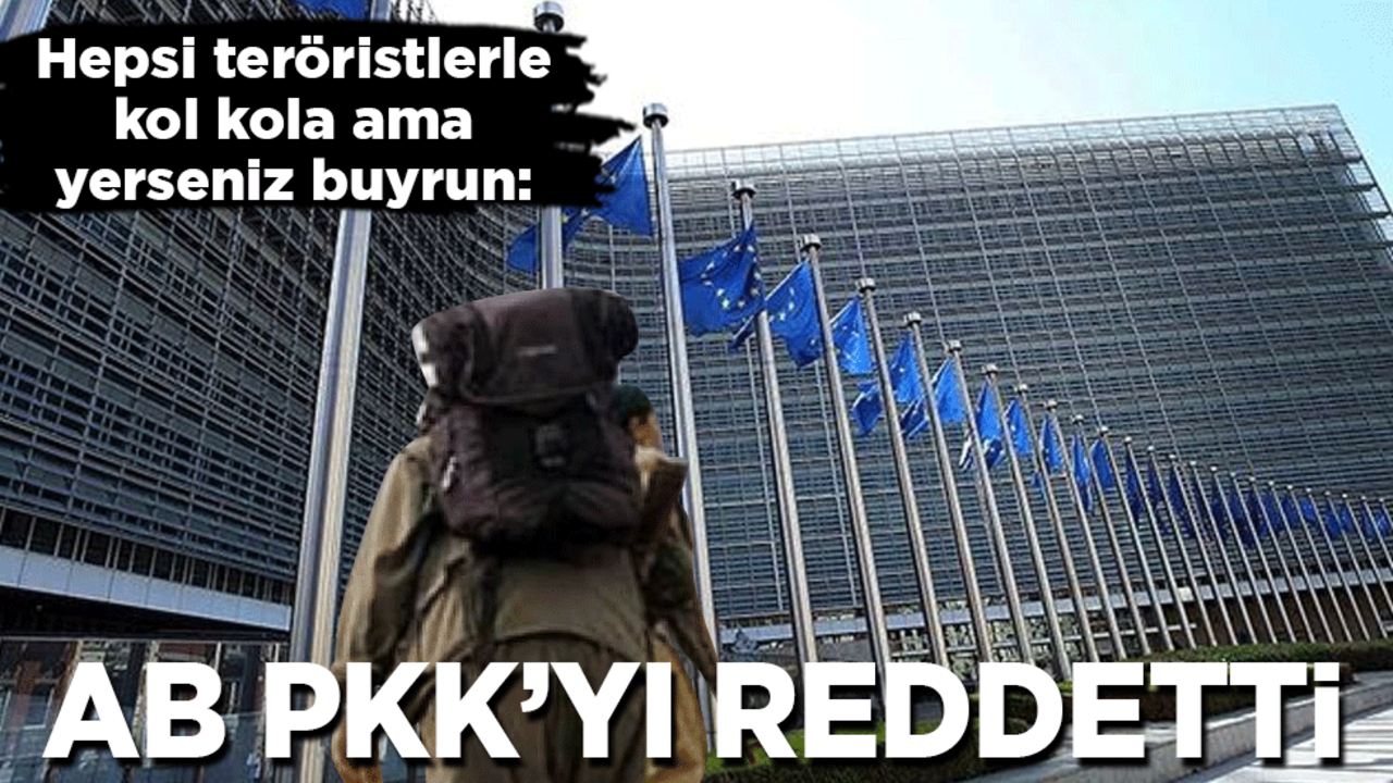 Hepsi teröristlerle kol kola ama yerseniz buyrun: Adalet Divanı, PKK'nın itirazını reddetti