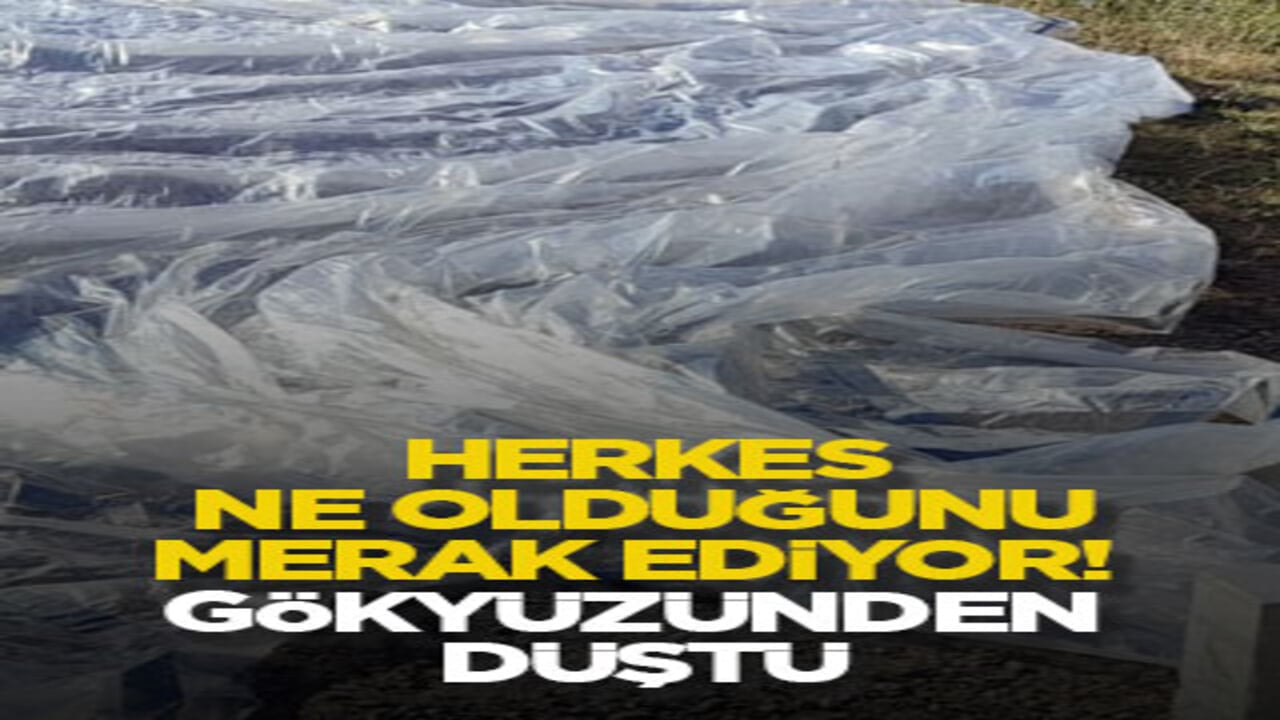 Herkes ne olduğunu merak ediyor! Gökyüzünden düştü