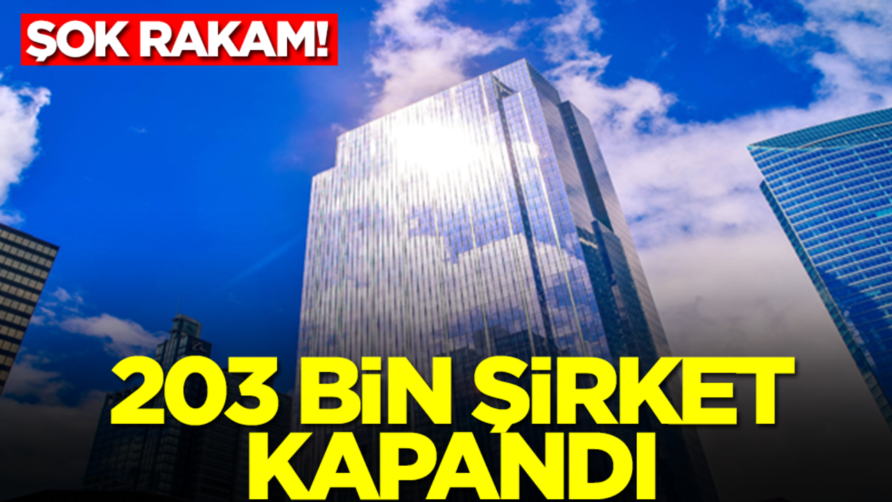 Herkes şokta! 203 bin şirket kapandı