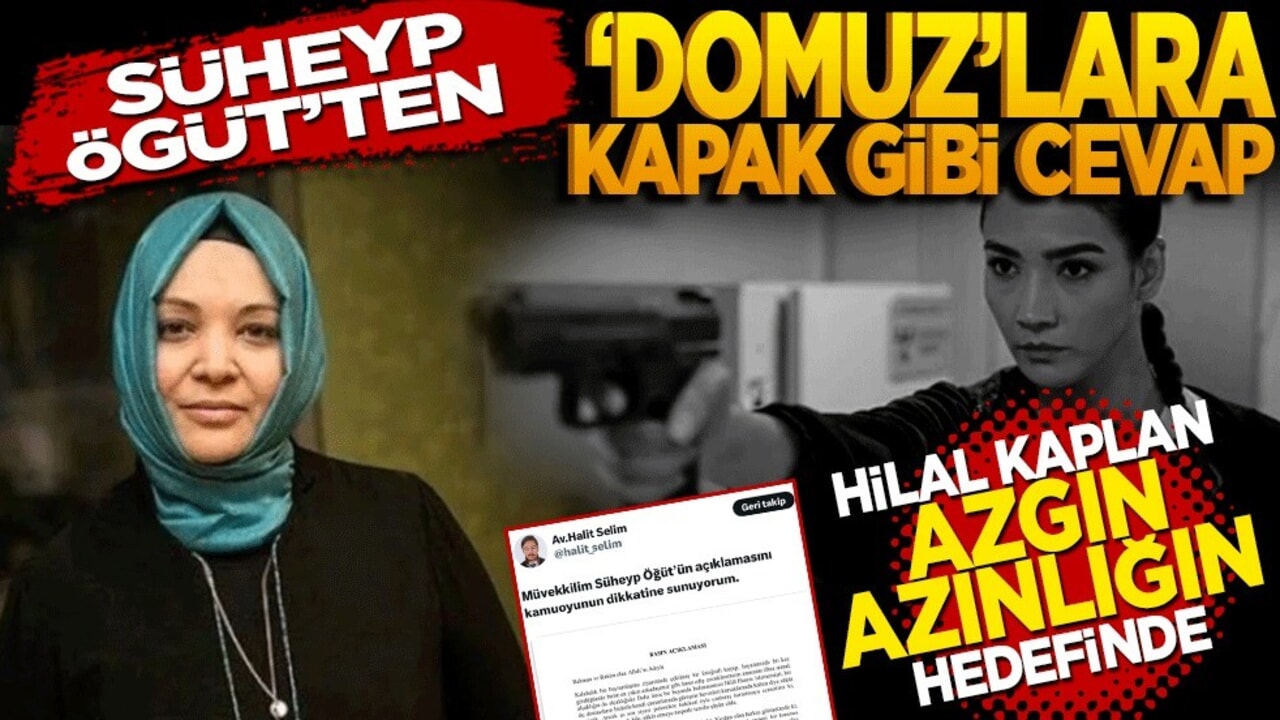 Hilal Kaplan azgın azınlığın hedefinde! Süheyp Öğüt’ten ‘Domuz’lara kapak gibi cevap