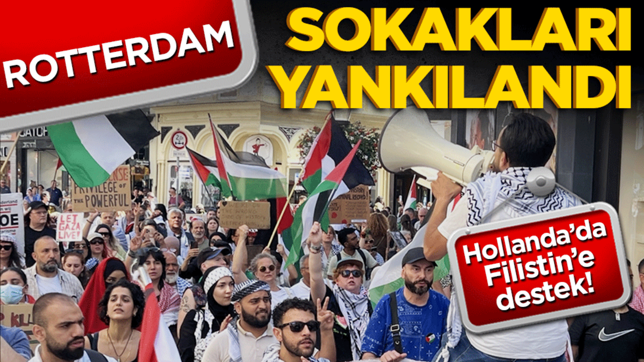 Hollanda'da Filistin'e destek gösterisi! Rotterdam sokakları yankılandı