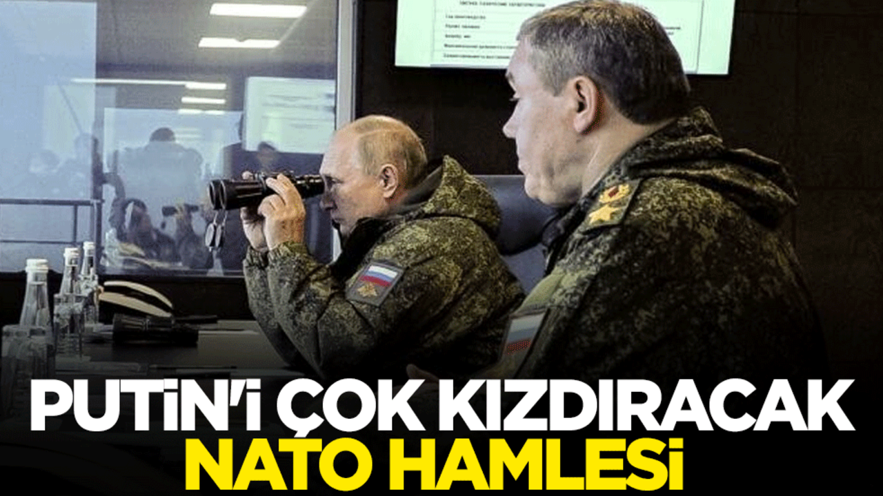 Hollanda'nın NATO hamlesi Putin'i çok kızdıracak