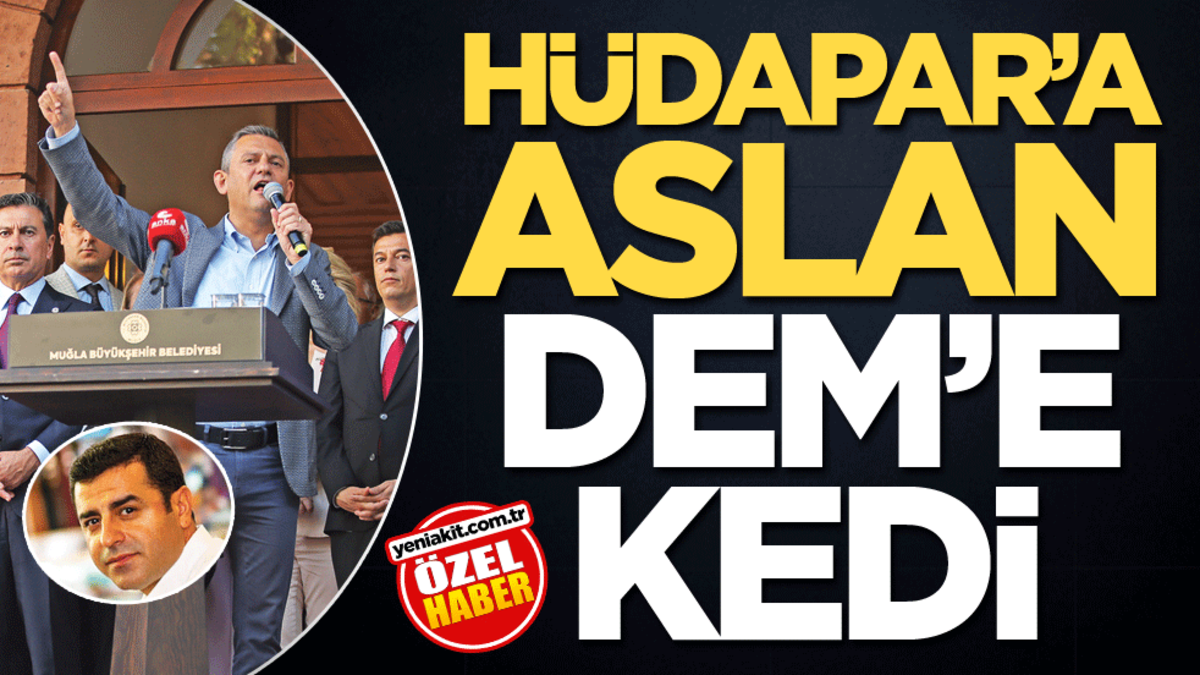 HÜDAPAR’a aslan, DEM'e kedi