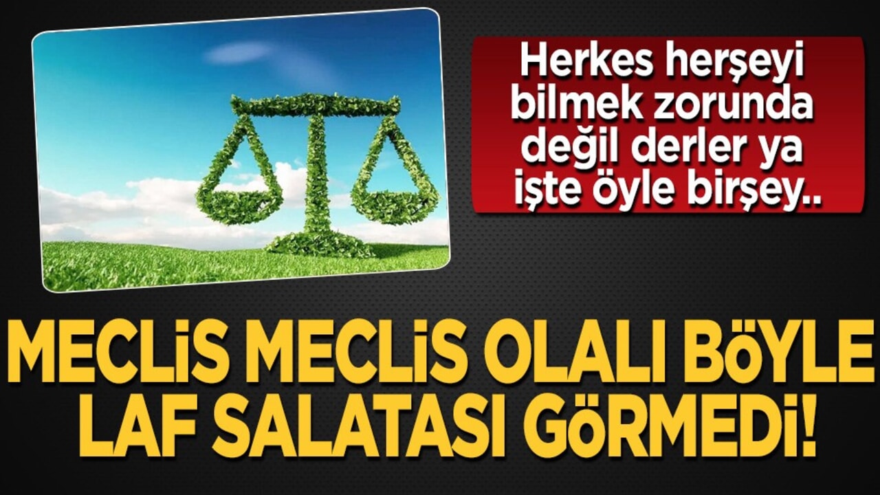 Hukukçu Hacı Ali Özhan, Meclis meclis olalı böyle laf salatası görmedi diyerek isyan etti