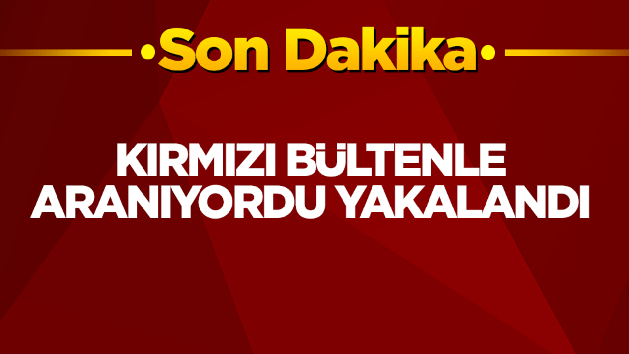 İçişleri Bakanı Ali Yerlikaya duyurdu! Kırmızı bültenle aranıyordu yakalandı