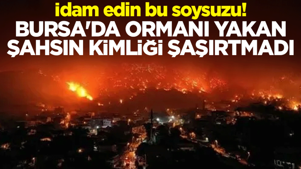 İdam edin bu soysuzu! Bursa'da ormanı yakan şahsın kimliği şoke etti